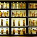 조선대학교 체육대학 이미지