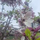 신명지에너지 이미지