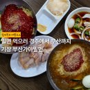 우리밀면 | 기장 정관 부산가야밀면 내돈내산 후기 | 밀면 먹으러 경주에서 부산까지 다녀옴