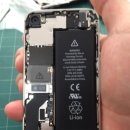 양군밧데리 이미지