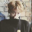 코코언니 이미지