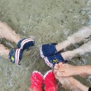 유림산장 이미지