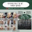 바디랜드 이미지