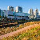 도안문화공원풋살장 이미지