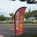 김해 중고 골프채 판매 보상 교환 Qi4D 최저가 구매후기
