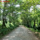 돌샘공원 이미지