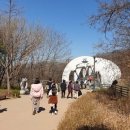 서리풀길 4 이미지