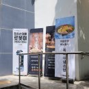 구영로L 이미지