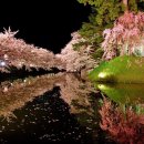 일본 최고의 벚꽃이라고 불리는 아오모리현 히로사키의 벚꽃절경 이미지