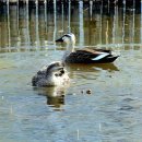 빛가람 호수공원 이미지