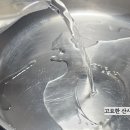 채쉐프 이미지