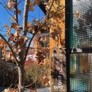 백일홍스테이 이미지