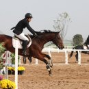 강동문화복지회관 체육관 이미지