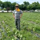 목화파크 이미지