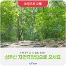 9월 번개산행 ◇보령 상화원☆성주산 휴양림◇ 이미지