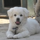 읍사무소(실외) 이미지