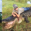 자선목장 이미지