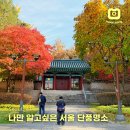 낙성대공원도서관 | 낙성대공원 서울 단풍명소 아이와 함께 가볼만한곳 주차장