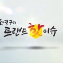 모두함께