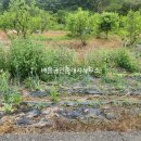 순천승주중학교 티스토리