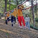 튼튼 유아숲체험원 이미지