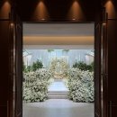 (주)바이오피드 | 웨딩 아이폰 스냅 계약 후기 | 비밀의화원 le jardin secret
