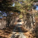 병암3리(석병무) | 청주 백족산 백족사 ① 백족사 숲길, 백족사3층석탑, 대웅전, 산신각, 여러 석불들