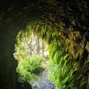 Eagle Creek to Tunnel Falls Hike ( 2021년 8월 28일 ) 이미지