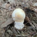 명문요양병원 이미지