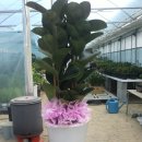 명곡동383 이미지