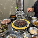 돗배갈매기