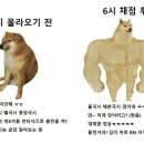 쥬씨강남고속 | 간호사 국가고시 후기 : 문제유형 갑자기 싹 다 바뀌고 개더럽게 출제함. 사설모의고사 수준이었음.