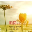 조류중에서 너희가 가중히 여길것은 이러하니라 매종류 이미지