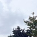 롯데슈퍼강릉입암점 | 추석 시골길 강릉 도착 전 진부 막국수,진부장