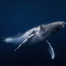 현대카도크 이미지