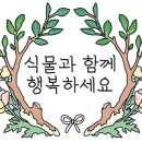 알아이앤