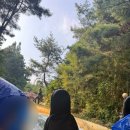 월드약국 | 도파민 여행 1박2일 경주 🎡 (경주월드 관람차 타임 라이더 후기)