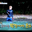 정기사 네이버블로그