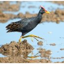 뜸북식당 이미지