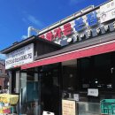 전망대길 10 | 아침에 급 출발한 강원도 당일치기 여행 코스💙 (대문자 P부부 발길 닿는 대로)