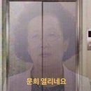 프로포즈 | [W5.프로포즈] 여자가 먼저하는 프로포즈 후기 💍✨