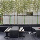 15번지 애견센타 이미지