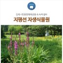 지평선식물원