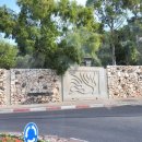 바다의별 이미지