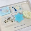 진로체험 아로마테라피스트 | [거제시가족센터 외부출강]중도입국청소년과 함께한 아로마테라피스트 진로체험 &amp; 천연비누 만들기