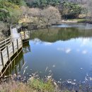 화동못수변공원 티스토리