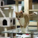 광수농장2 이미지