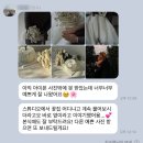 누에보 | 대구 누에보스튜디오 촬영부케 후기