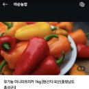 따순농장 네이버블로그