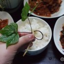 윤희네농장 이미지